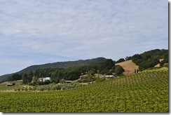Norr om San Francisco, i Sonoma Valley där allt Kalifornskt vin odlas.